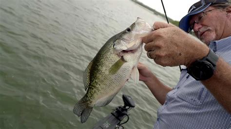 New Bass Techniques - Fisherman's Handbook - Fishing TV