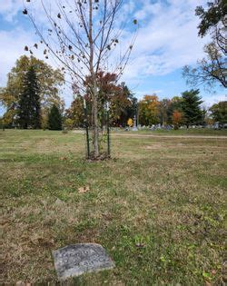 Francis Merrill Find A Grave Memorial