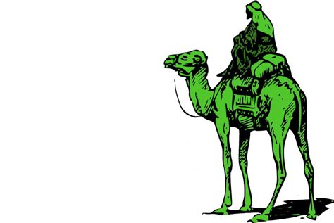 Dark Web Coen Brothers Writing New Film About Silk Road Kingpin The