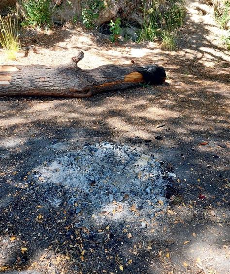 Incendios Forestales La Municipalidad Puso En Marcha Cuadrillas