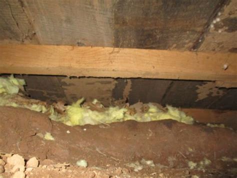 Subterranean Termites Using Mud Sheathing To Encase Lumber Foothill