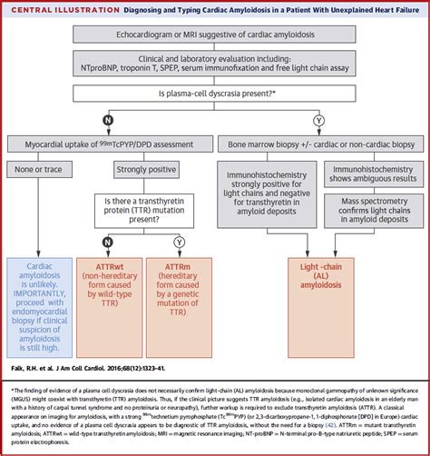 Transthyretin Cardiac Amyloidosis A Noninvasive Multimodality Approach