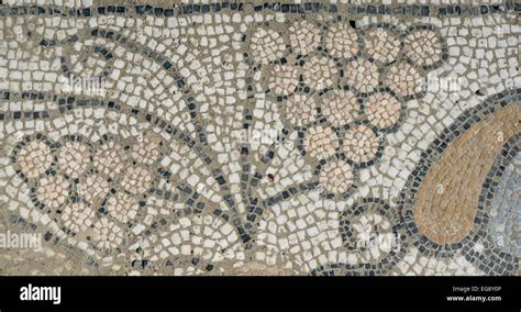 Roman Mosaics Hi Res Stock Photography And Images Alamy