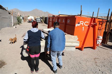 Municipio de Copiapó retoma operativos de retiro de cachureos