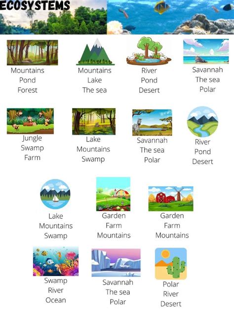 Ecosystems Vocabulary Worksheet Ecosystems Ecosystem Activities