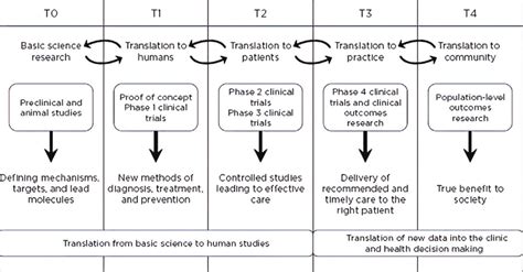 Translational Research Continuum Operational Phases Of Translational