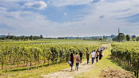 Festival Franciacorta In Cantina