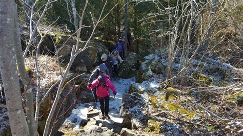 Lakepurity Credit Valley Area내 북쪽 Silver Creek Conservation 숲속의 돌짝밭길 걸었다