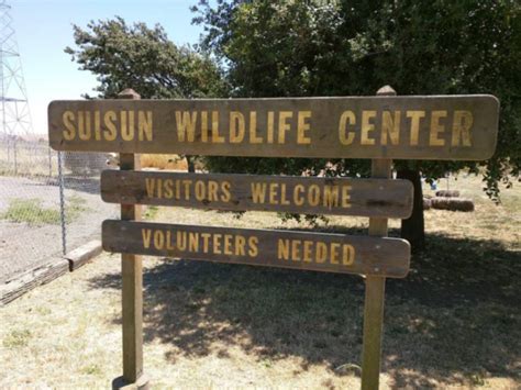 Suisun Wildlife Center - R&S Erection of Vallejo, Inc.