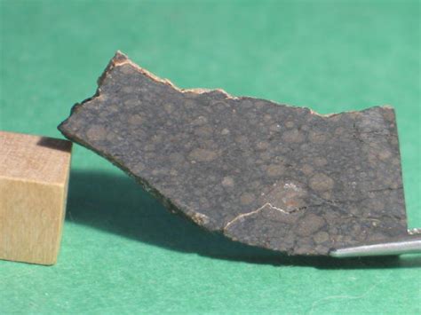 Nwa 1465 Cv3 An Carbonaceous Chondrite Meteorites For Sale