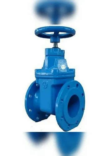 Cast Iron Cid Sluice Valve Flange Valve Size 80 Mm At Rs 3000 In Jaipur