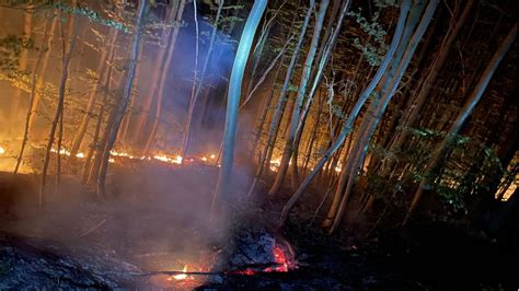 100 Kräfte im Einsatz Feuerwehr löscht Waldbrand in unwegsamen Gelände