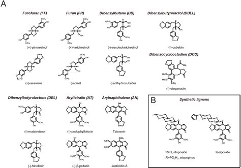 Metabolites Free Full Text Essences In Metabolic Engineering Of