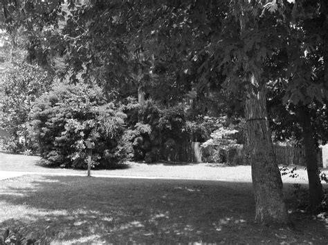 front yard trees and bushes - Landscape - Photo.net