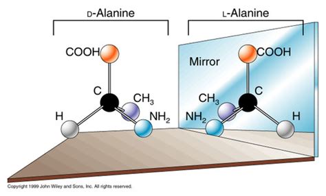 Amino Acids And Proteins Flashcards Quizlet