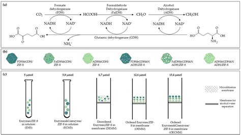 Catalysts Free Full Text Multicatalytic Hybrid Materials For