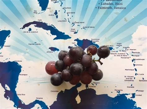 Путешествие дилетанта - Florida Russian Magazine