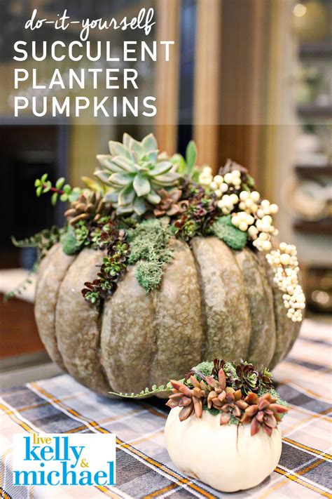 DIY PUMPKINS As Seen On Live With Kelly Michael East Coast Creative