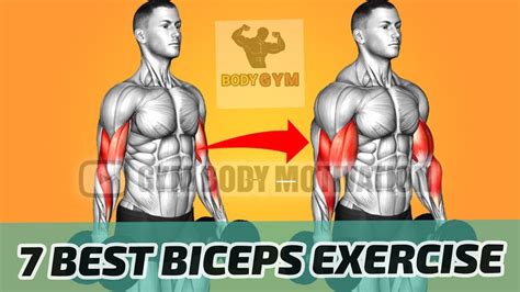 7 Bicep Exercises For Bigger Arms Bigger Biceps Workout At Gym