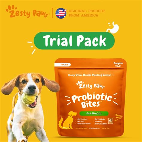 Zesty Paws Probiotic Bites For Dogs Gut Health Pumpkin Flavor 5 Soft