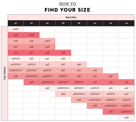 Bra Size Chart India – A Complete List List of Bra Sizes In 2025