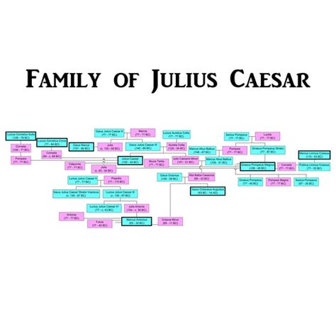 24x36 gallery poster, Family of Julius Caesar, Julio-Claudian family ...