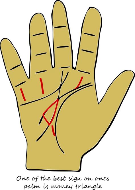 Different Types Of Rare Lines For Luck Success Palmistry Lucky Sign