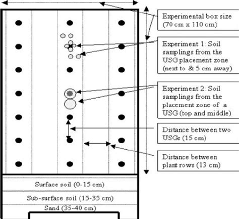 Schematic Diagram Of The Polyvinyl Boxes Used For Both Experiments