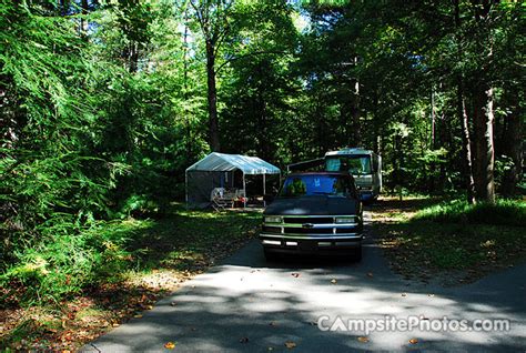 Davidson River - Campsite Photos, Reservations & Campground Info