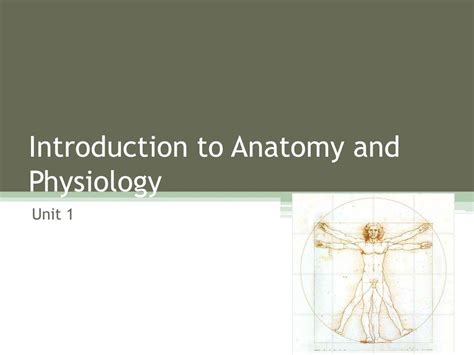 Ppt Introduction To Anatomy And Physiology Powerpoint Presentation