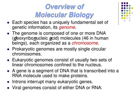 Ppt Overview Of Molecular Biology Powerpoint Presentation Free Download Id5502884