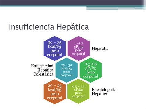 Nutrici N Y Enfermedades Hep Ticas Ppt