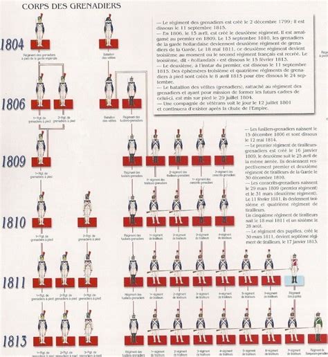 Épinglé sur Infanterie ligne 1er Empire