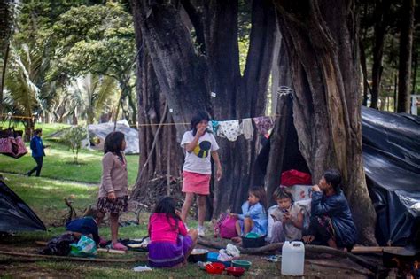 No habrá más retornos de indígenas Emberá ubicados en Bogotá este año