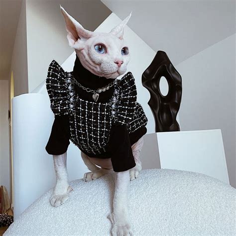 Adorable Cat Dress Sphynx Cat Clothes Hairless Cat Skirt Devon Cat