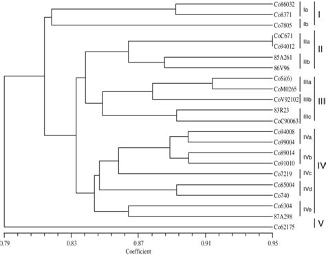 UPGMA Dendrogram Showing Genetic Relationships Among The 22 Commercial