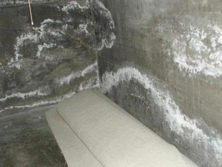 Efflorescence on Concrete - Causes, Prevention and Removal