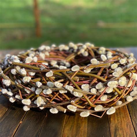 Pussy Willow Wreath Etsy