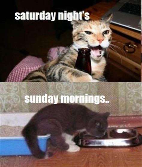 90 Funny Saturday Memes, Images & Pics for a Happy Weekend | Funny ...