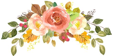 Watercolor Flower Vector Png