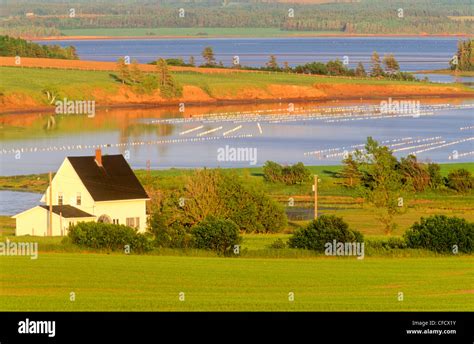 Banks island canada hi-res stock photography and images - Alamy