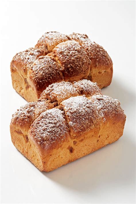 Brioche Senta Tempo Bio Puratos