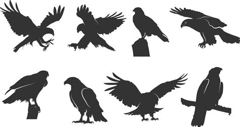 Hawk Silhouettes Flying Hawk Silhouette Tribal Hawk Silhouette Hawk