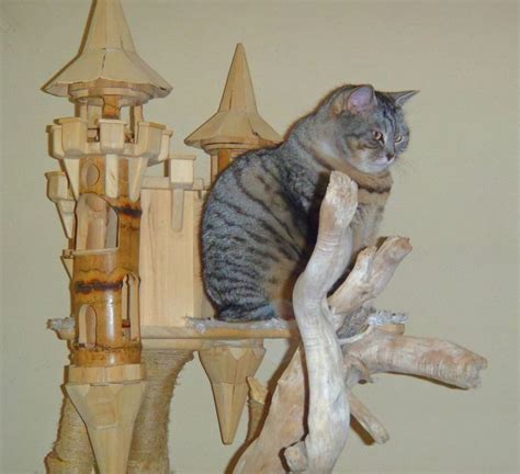 www.domusfelis.com # playzone for cat # luxury cat castle # cat tower # cat tree | Cat castle ...