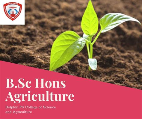 B Sc Hons Agriculture Agriculture Gives You Multiple Oppor… Flickr