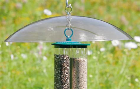 Stop rats and squirrels eating your birdseed | Rodent proof birdfeeders