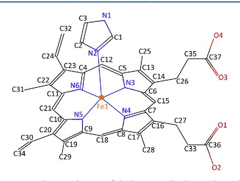 Figure 3 From Exploring The Conformational Variability In The Heme B