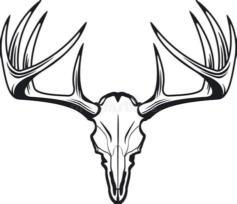 Deer Skull Of Whitetail Buck Stock Vector Illustration Of Sign Wildlife 161296313 Deer