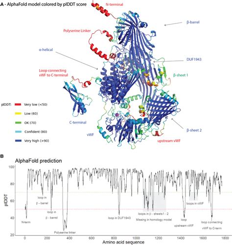 Alphafold Prediction A The Top Ranked Alphafold Model Is Shown As