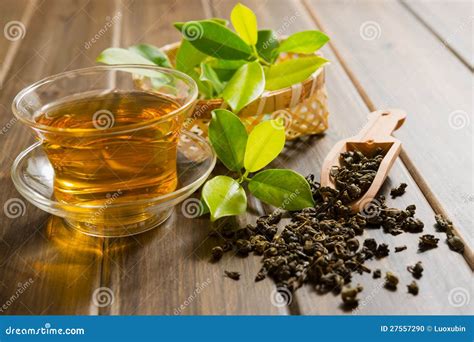 Tea And Tea Leaves Stock Photo Image Of Herbalism Plant 27557290